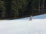 IMG_0485.jpg
