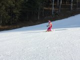 IMG_0487.jpg