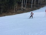 IMG_0498.jpg