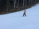 IMG_0500.jpg