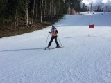 IMG_0503.jpg