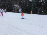 IMG_0241.jpg