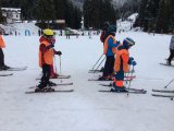 IMG_0248.jpg